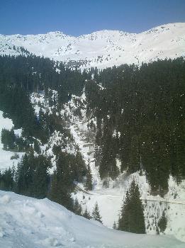 IMAG0053 